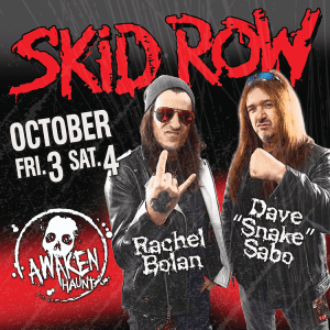 Skid copy